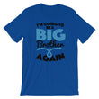 Load image into Gallery viewer, I'm Going To Be A Big Brother Again T-Shirt